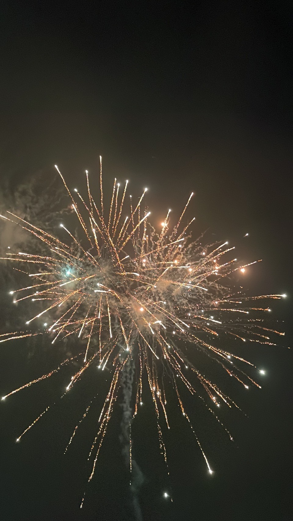 キャンプの募集開始！